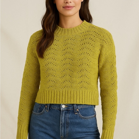 American Eagle Cropped Knit Sweater - Picture 1 of 9